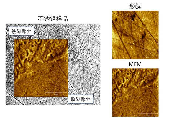太酷了！这台全新多功能材料微区原位表征系统，可实现同位置，同界面的SEM和AFM综合测量