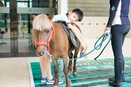 20多种中外经典活动齐聚校园夏日嘉年华，哈罗南宁这样“玩中学”