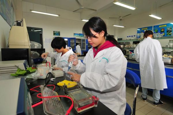 十年砥礪奮進路，贛州教育譜新篇