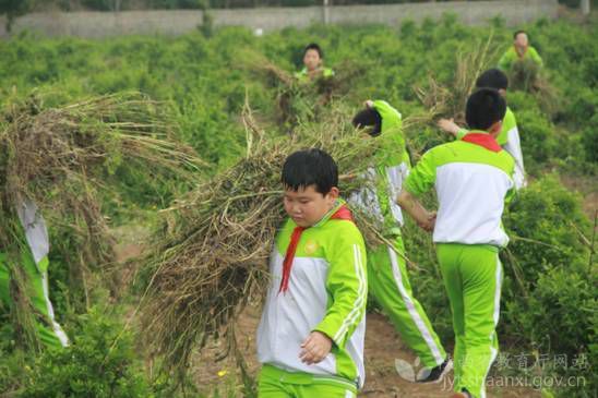 陕西省蒲城县教育系统抓好“三个课堂”推动县域教育发展