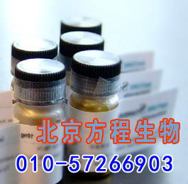 方程生物试剂图片 (6).jpg 人桥连整合因子2(BIN2)检测/(ELISA)kit试剂盒/免费检测