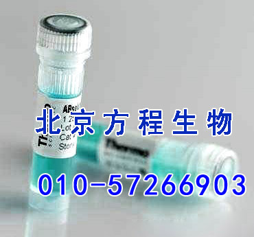 方程生物试剂图片 (4).jpg 人内脂素(VF)检测/(ELISA)kit试剂盒/免费检测