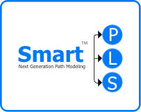 SmartPLS-偏<span class=