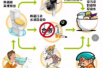 【南京兔牙科技】霍亂疫情下的基因檢測手段