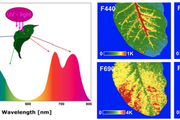易科泰推出UV-MCF荧光高光谱成像系统