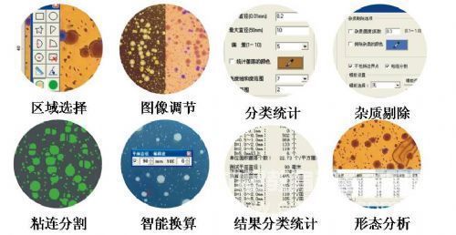 饲料细菌总数检测中全自动菌落计数仪的应用