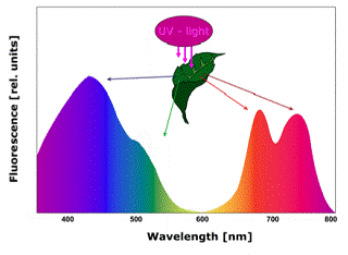 FluorCam多光谱荧光成像系统