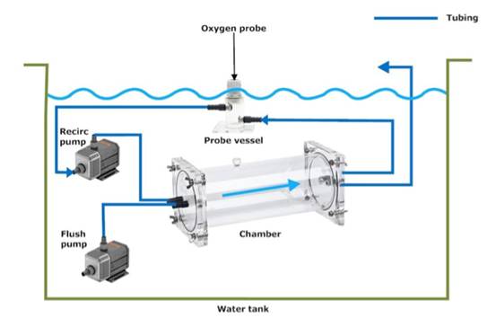 水生生物呼吸代谢测量系统