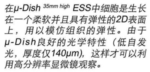μ-Dish 35 mm, high ESS 彈性支撐表面-81291 81391 81191 81199