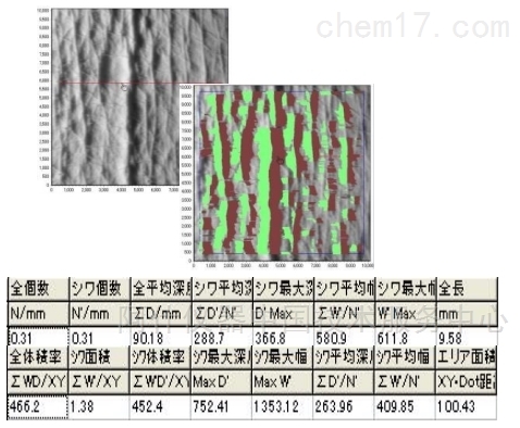 ASA-03RXD抗皺功效評價系統