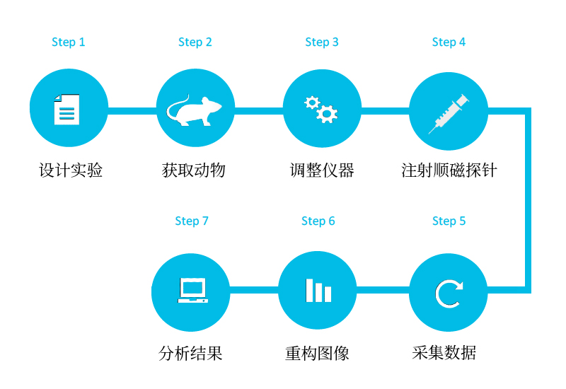 小动物自由基成像系统