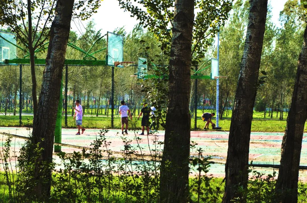 黑龙江工商学院：多功能体育场馆，让你变更好！
